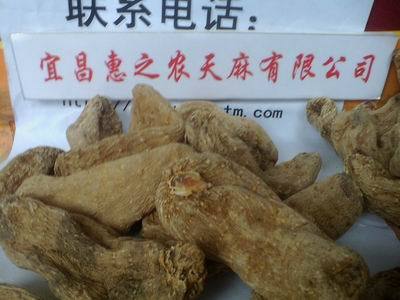 惠之農(nóng) 野生天麻精品包裝_天麻種子_天麻種植_宜昌惠之農(nóng)天麻 - 商國互聯(lián)網(wǎng)