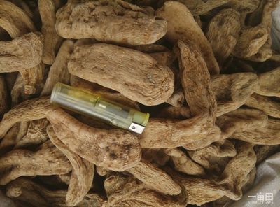 天麻安徽亳州譙城區(qū)_批發(fā)_供應(yīng)-一畝田農(nóng)業(yè)網(wǎng)_專業(yè)的農(nóng)產(chǎn)品信息商務(wù)平臺(tái)