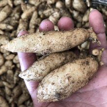 價格 廠家 中國供應商