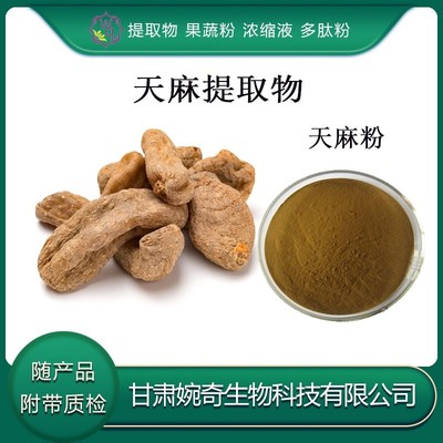 天麻提取物的功效、應用與前景